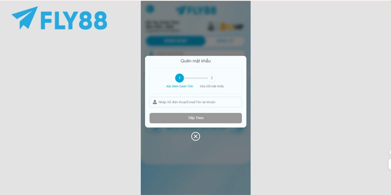 Nhập Email, số điện thoại, tên tài khoản FLY88 để xác minh danh tính